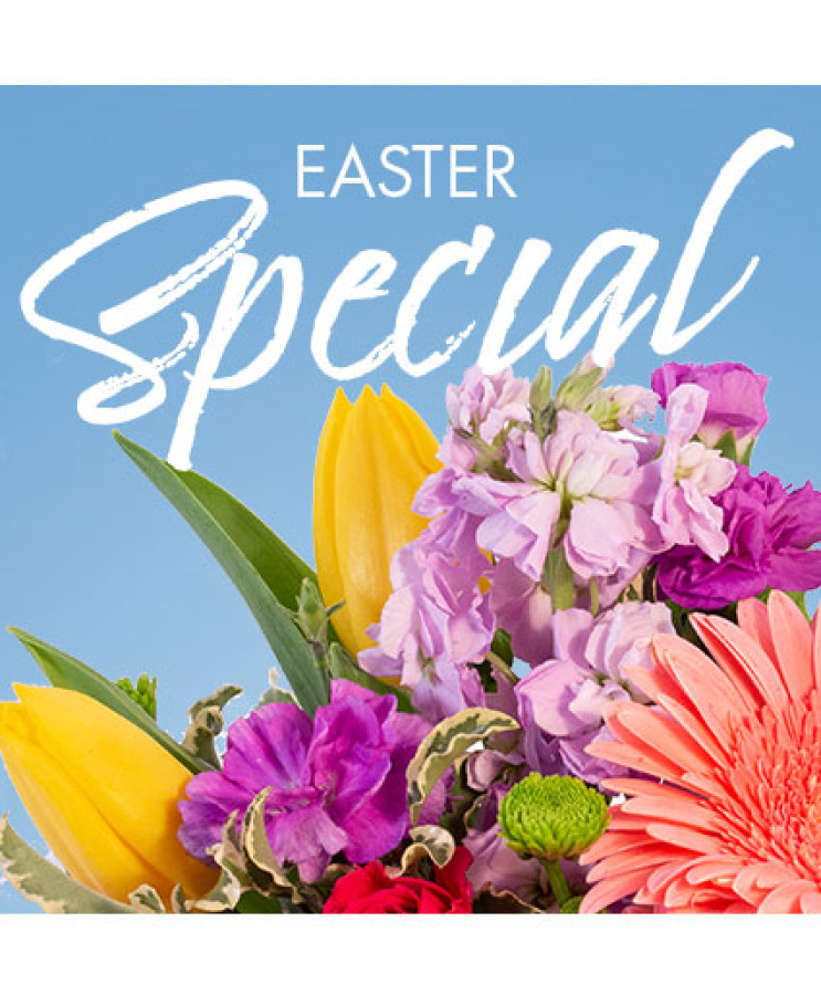 an EASTER SPECIAL DESIGNER'S CHOICE an EASTER SPECIAL DESIGNER'S CHOICE